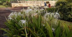 Rumah dijual di Perumahan Green Orchid  Soekarno Hatta Malang Kota