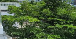 Rumah dijual di Perumahan Green Orchid  Soekarno Hatta Malang Kota